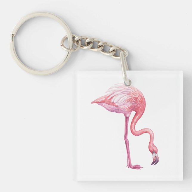 Flamingo (Framsidan)