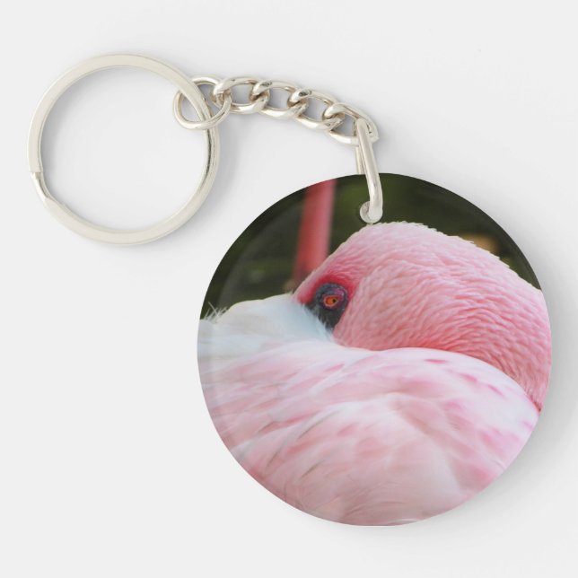 Flamingo (Framsidan)