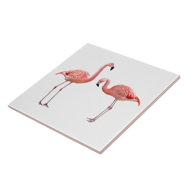 “flamingo”の優良製品 kakelplatta (Sidan)