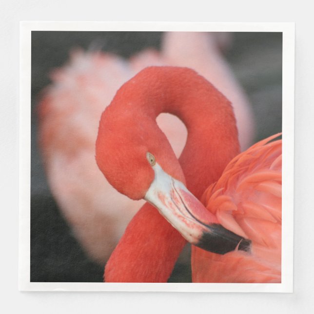 Flamingo 001 pappersservett (Framsida)