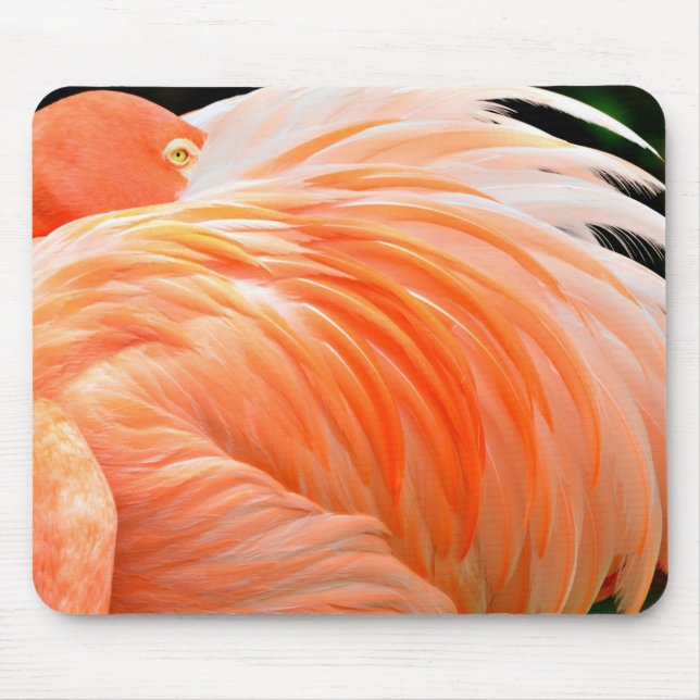 Flamingo 1 Musmattor (Framsidan)