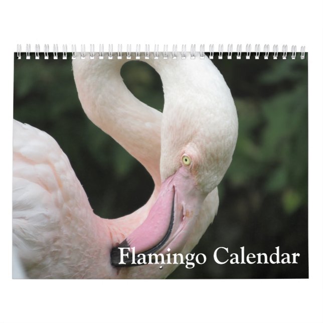 Flamingo 2025-kalender kalender (Omslag)