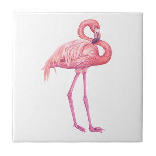 Flamingo 2 kakelplatta