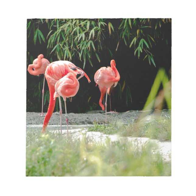 flamingo anteckningsblock (Framsida)