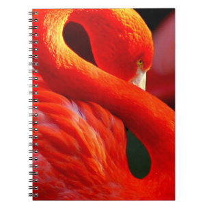 Flamingo Anteckningsbok
