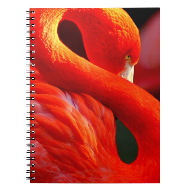Flamingo Anteckningsbok (Framsidan)