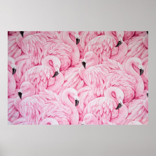 FLAMINGO ÄR ÖVERALLT. POSTER (Framsidan)