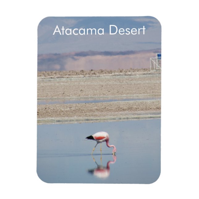 Flamingo Atacama Desert Flexible Magnet (Vertikal)