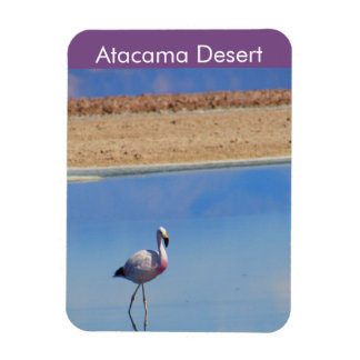Flamingo Atacama Desert Flexible Magnet