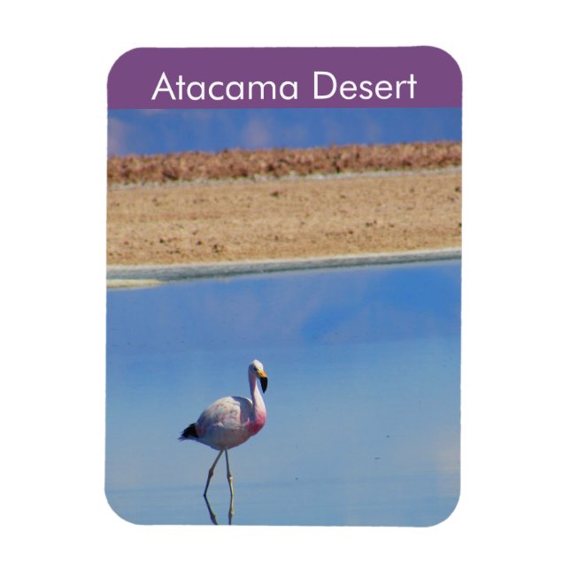 Flamingo Atacama Desert Flexible Magnet (Vertikal)