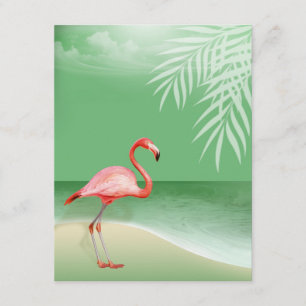 Flamingo Beach Mottagningsdetaljer jade Inbjudningar