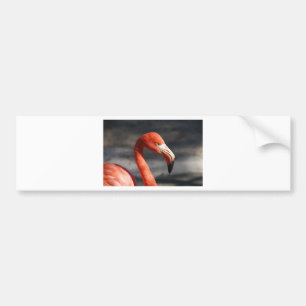 Flamingo Bildekal