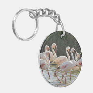 Flamingo Bird Office Home School Destiny Destiny's