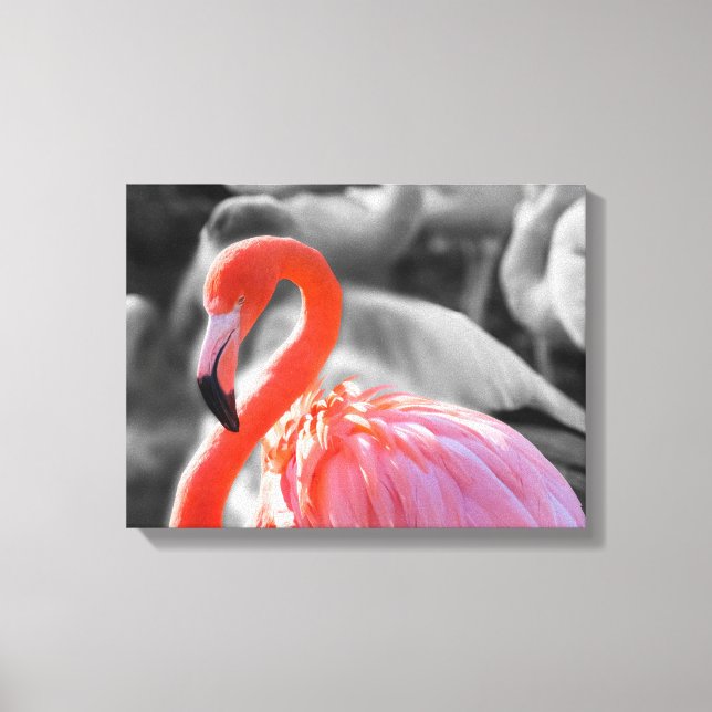 Flamingo Bird Photography Canvastryck (Framsida)