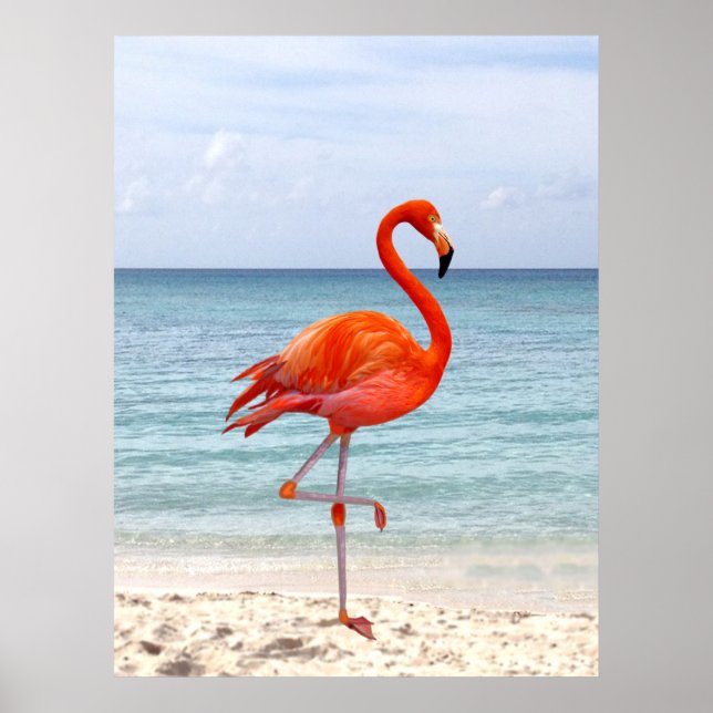 Flamingo Bird, vacker Rosa på stranden Poster (Framsidan)