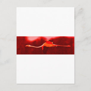 Flamingo Bird Vykort