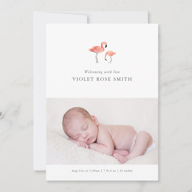 Flamingo Birth Notice Meddelande (Framsida)