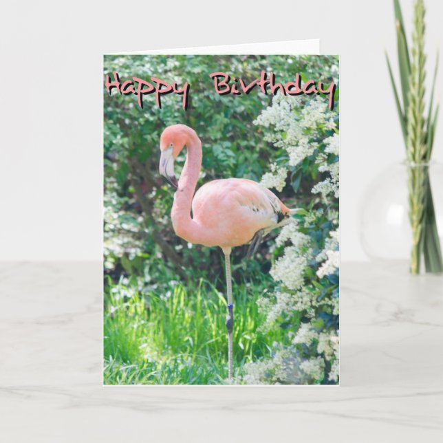 Flamingo Birthday Card Kort (Framsida)