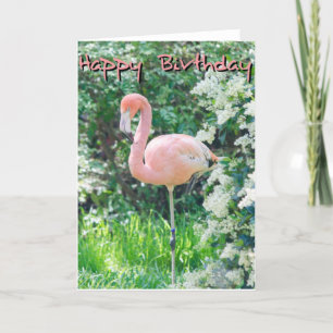 Flamingo Birthday Card Kort