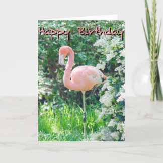 Flamingo Birthday Card Kort