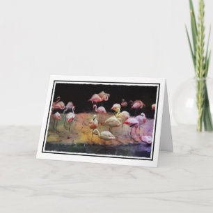 Flamingo Birthday Card Kort