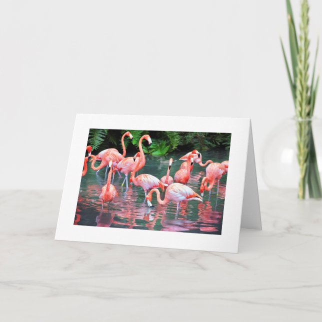 Flamingo Birthday Card Kort (Framsida)