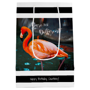 Flamingo Black White Rand Namn Modern