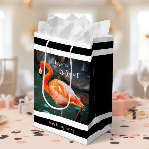 Flamingo Black White Rand Namn Modern