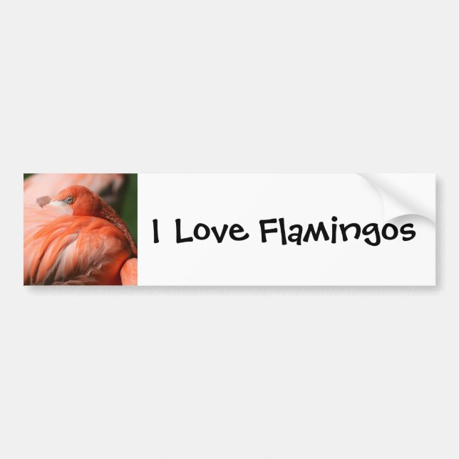 Flamingo Bumper Sticker Bildekal (Framsidan)