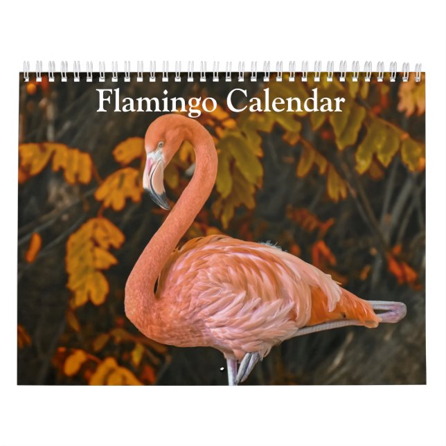 Flamingo Calendar 2025 Kalender (Omslag)