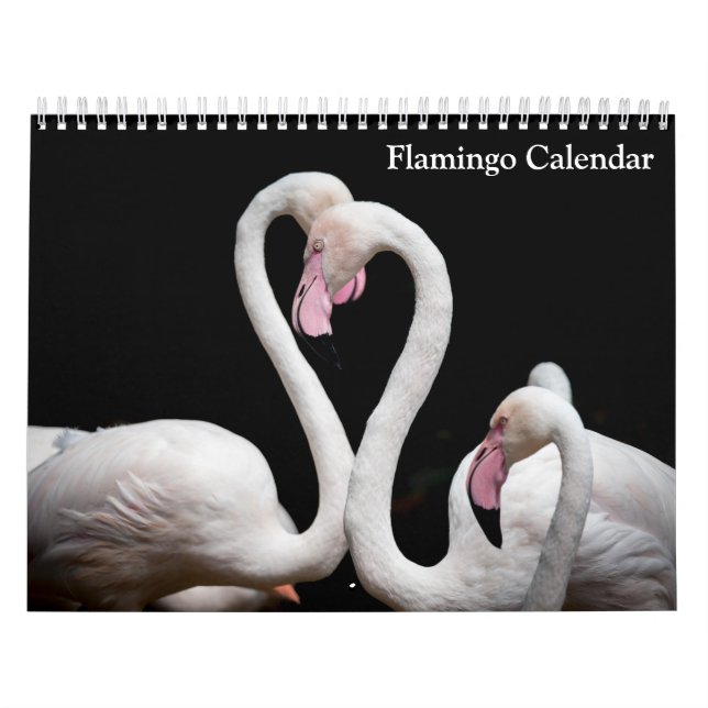 Flamingo Calendar 2025 Kalender (Omslag)
