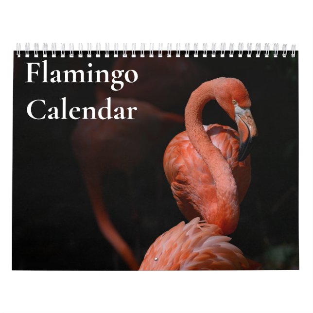 Flamingo Calendar 2025 Kalender (Omslag)