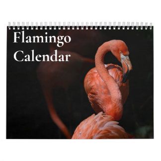 Flamingo Calendar 2025 Kalender