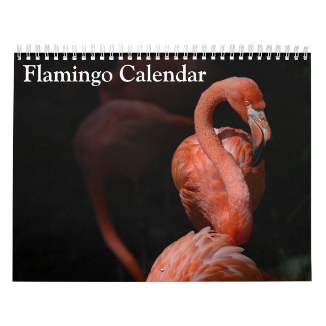 Flamingo Calendar 2025 Kalender (Omslag)
