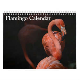 Flamingo Calendar 2025 Kalender