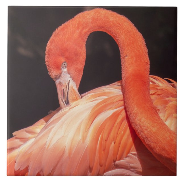 Flamingo Ceramic Tile Kakelplatta (Framsidan)
