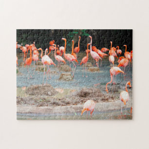 Flamingo-damm Singapore. Pussel