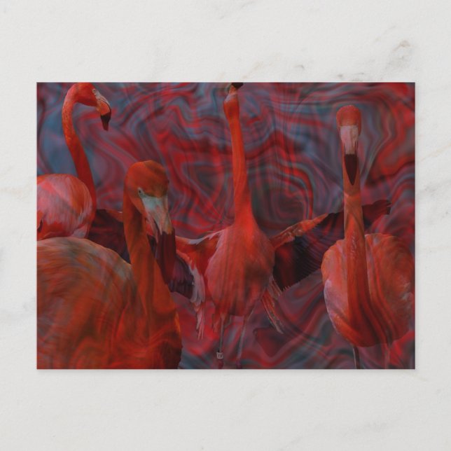 Flamingo Dance-Rosa vykort (Framsida)
