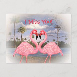 Flamingo Dance Vykort