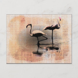 Flamingo Dreams Vykort