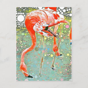 Flamingo Drinking Postcard Vykort