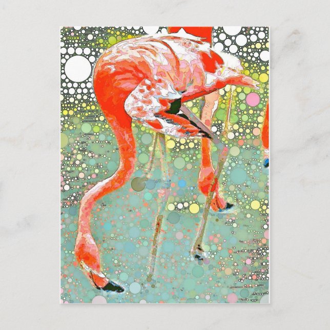 Flamingo Drinking Postcard Vykort (Framsida)