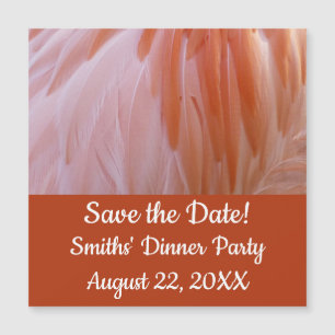 Flamingo Feathers in Shades of Rosa