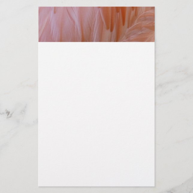 Flamingo Feathers in Shades of Rosa Brevpapper (Framsida)