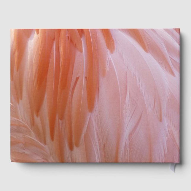 Flamingo Feathers in Shades of Rosa Gästböcker (Baksida)