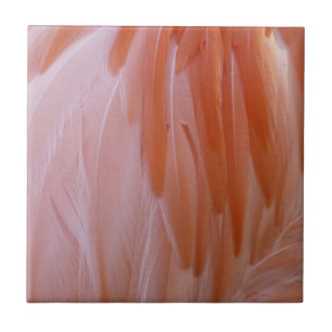 Flamingo Feathers in Shades of Rosa Kakelplatta