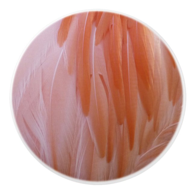 Flamingo Feathers in Shades of Rosa Knopp (Framsidan)