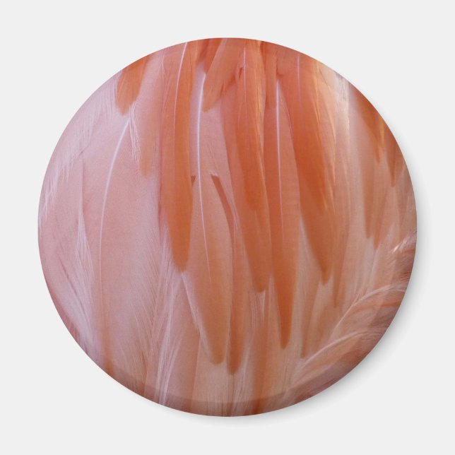 Flamingo Feathers in Shades of Rosa Magnet (Framsidan)