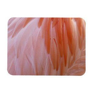 Flamingo Feathers in Shades of Rosa Magnet