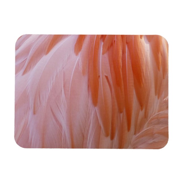 Flamingo Feathers in Shades of Rosa Magnet (Horisontell)